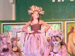 Karneval_2025