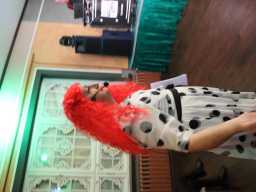 Karneval_2025